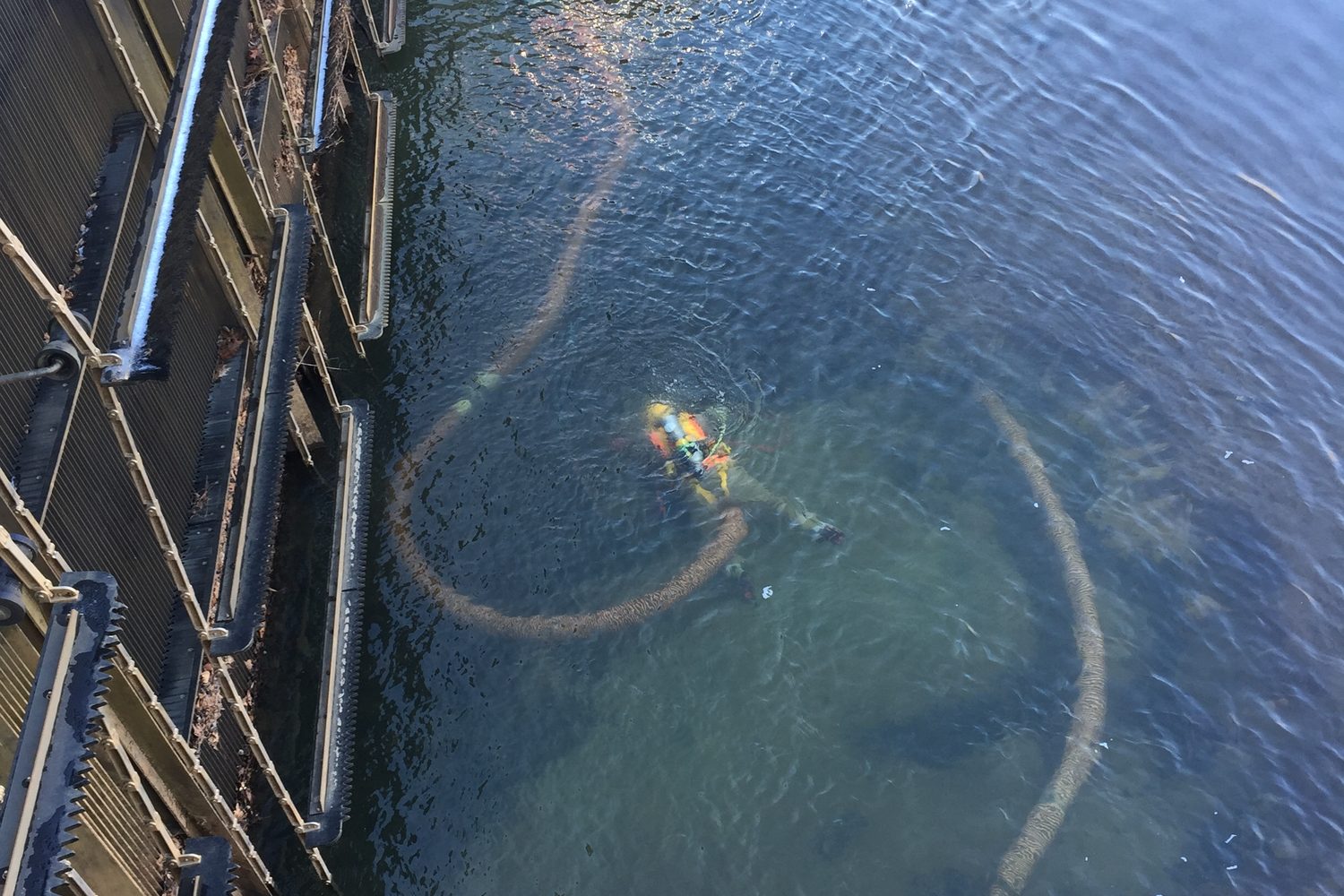 Diver working at the intake screens at the Scott Candler water treatment plant.