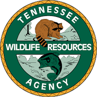 TN Wildlife
