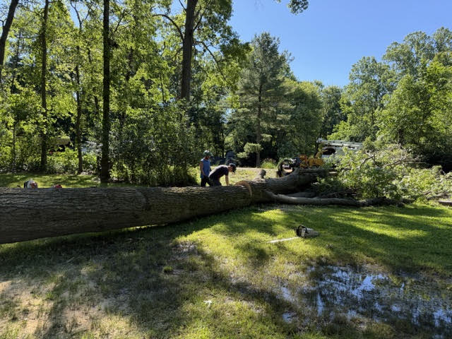 Land & Lot Clearing