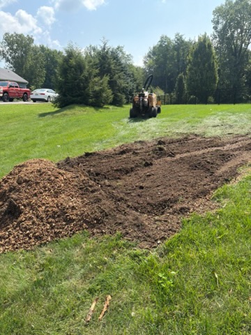 Stump Grinding & Removal