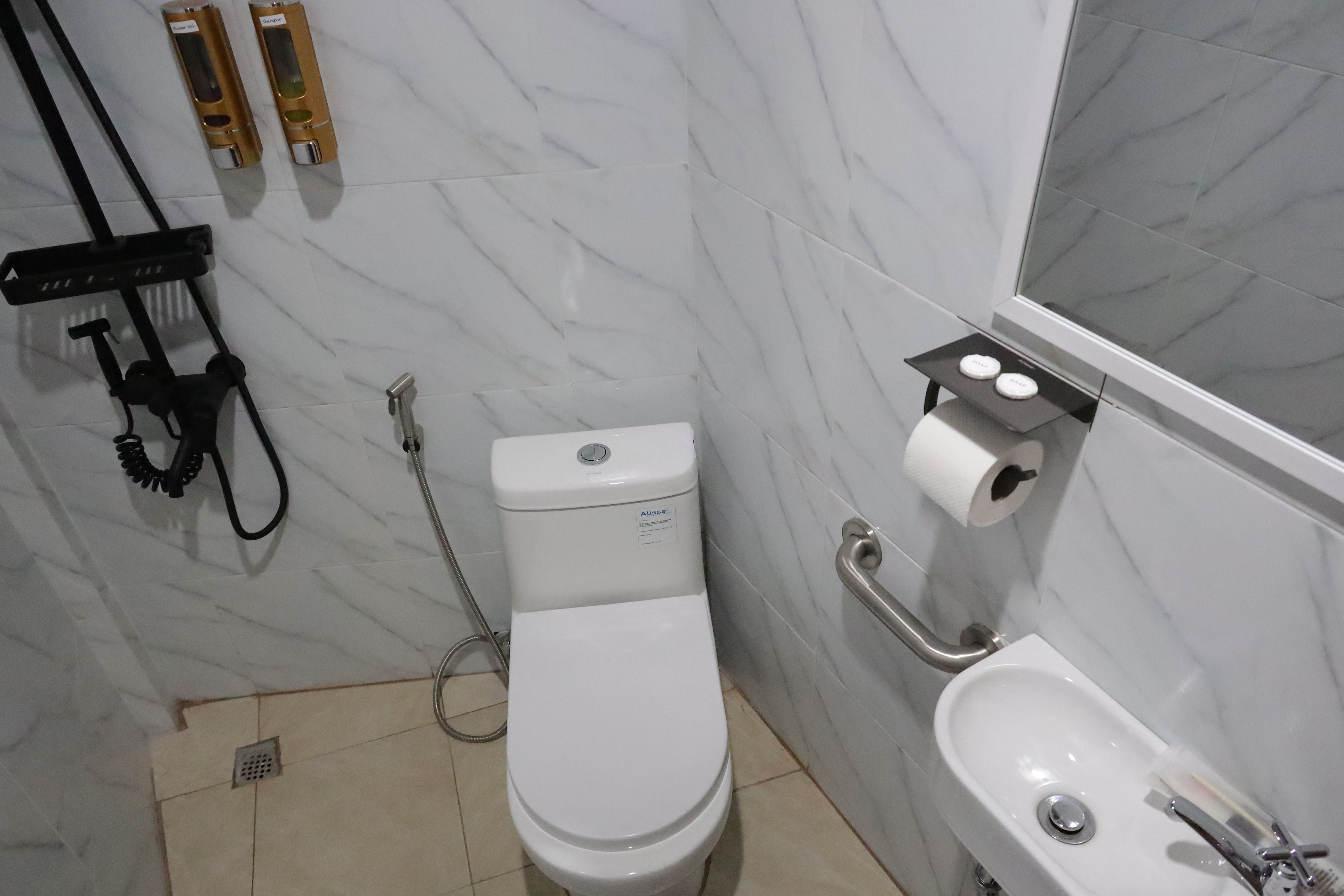 Modern bathroom with bidet, grab bar, hand sink, mirror, and toiletries dispensers