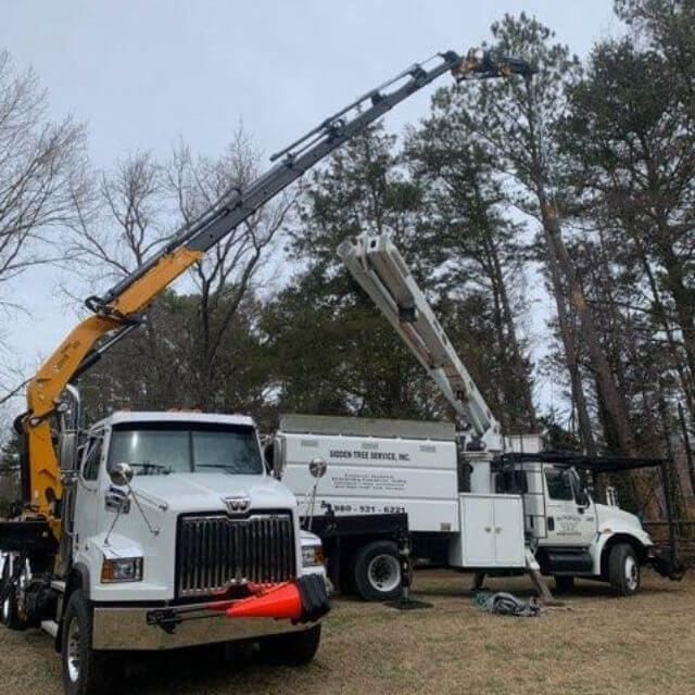 Tree Pruning