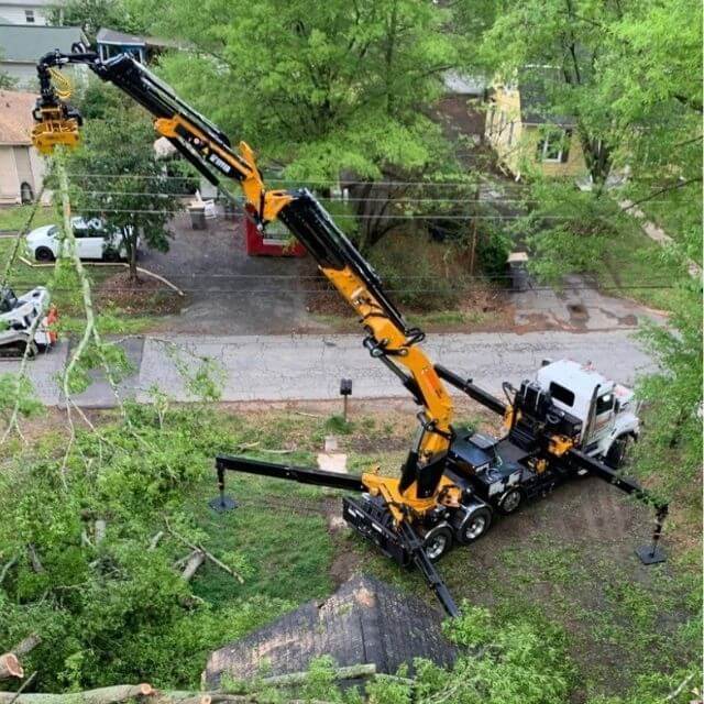 Stump Removal & Grinding