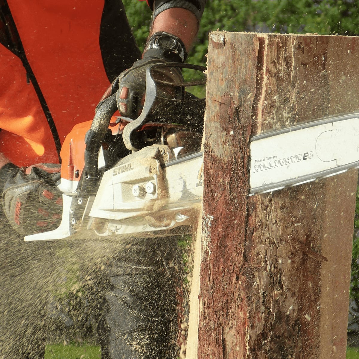 New Jersey Tree Professional crew at work