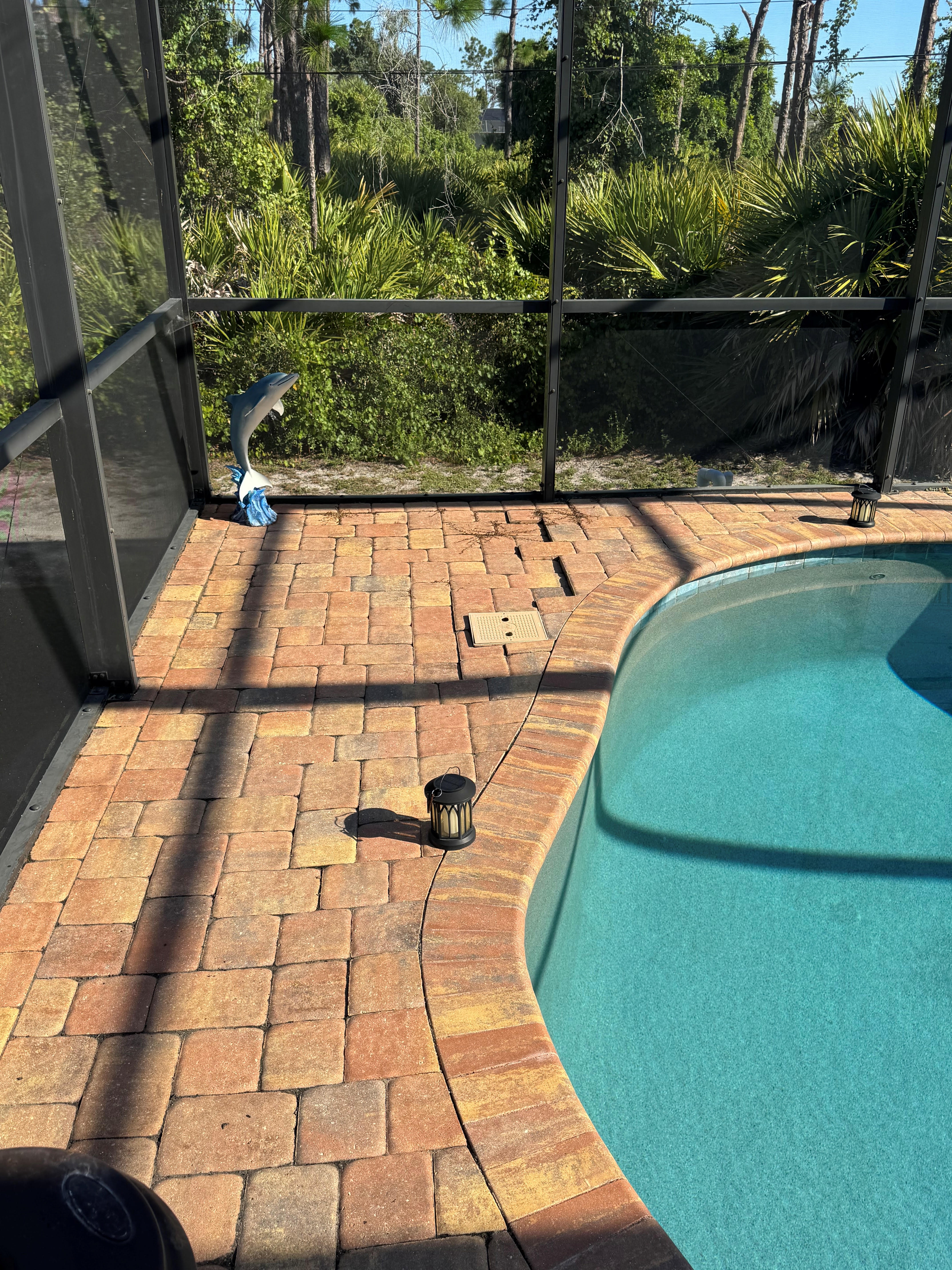 Pool Deck Paver Repair & Sealing before cleaning