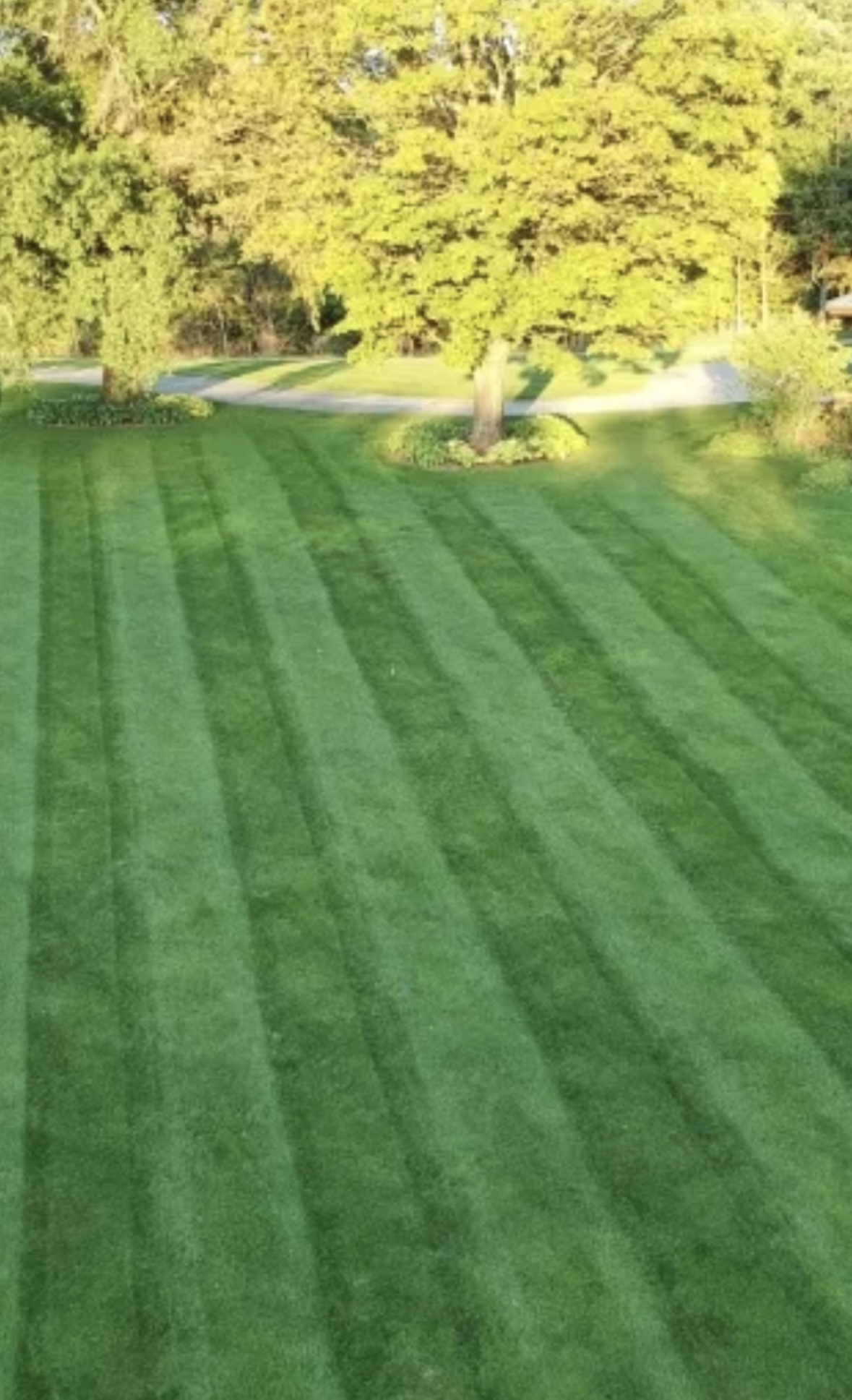 Lawn Care & Maintenance — Forest View Landscaping in Appleton, WI