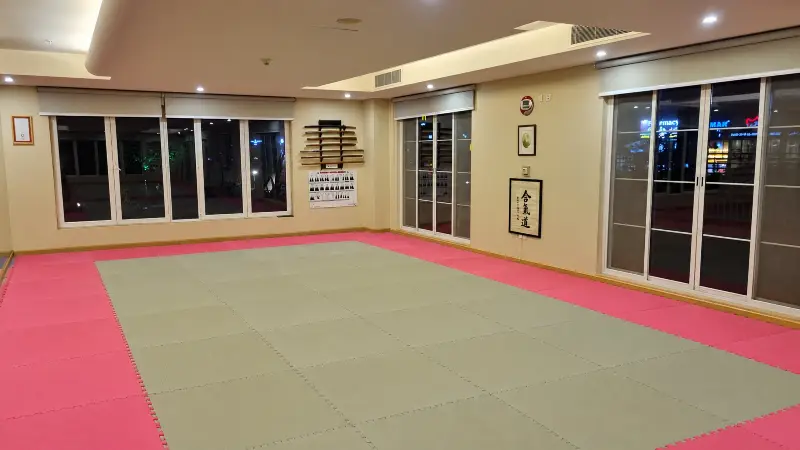 Aikido practitioners training together in the dojo