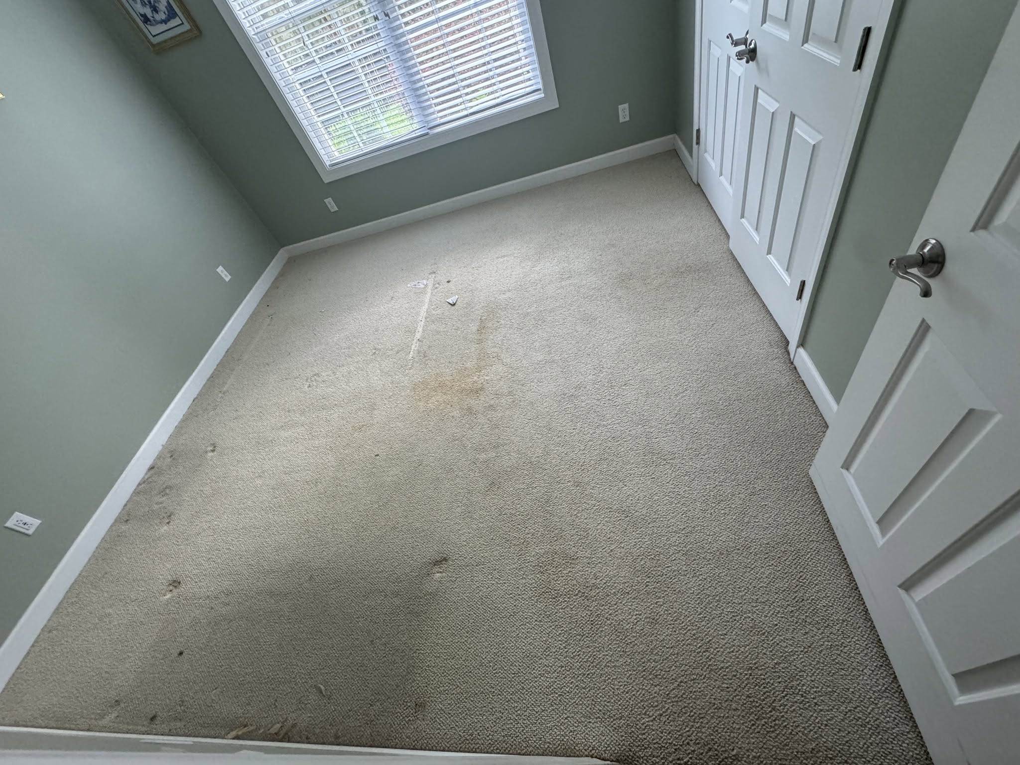 Before: carpeted room