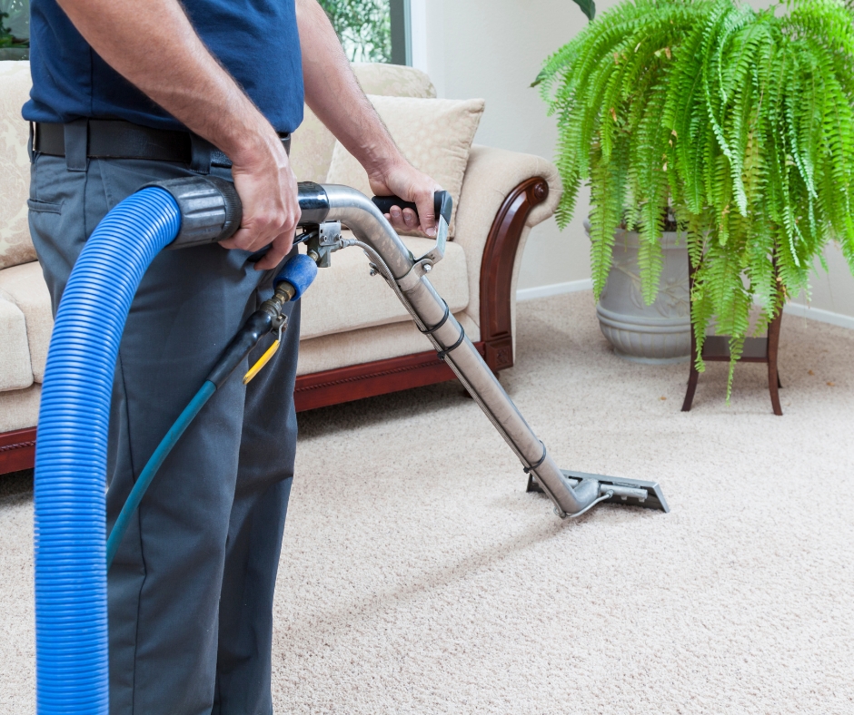 Professional carpet steam extraction