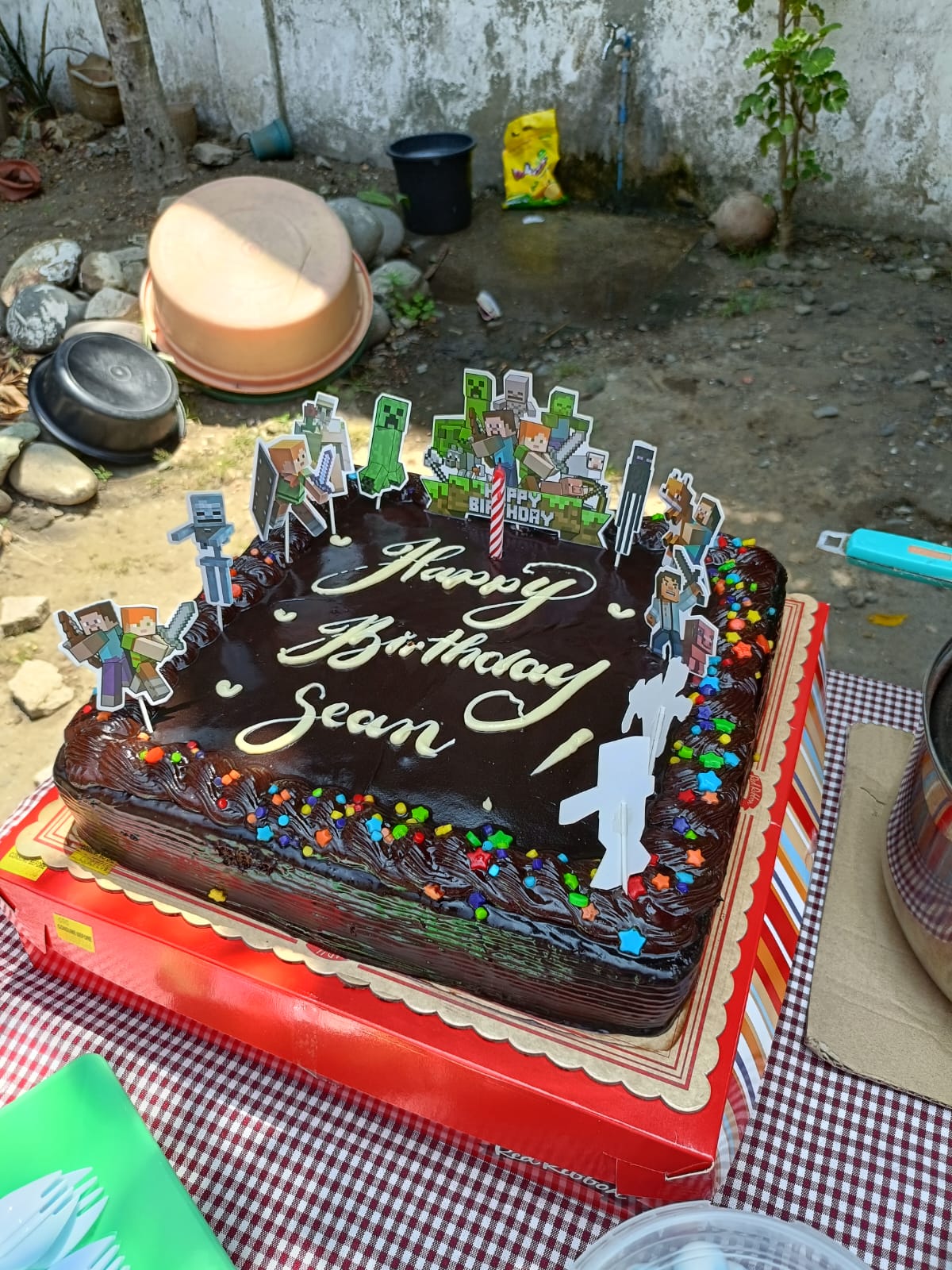 Sean's Custom Minecraft Chocolate Birthday Cake