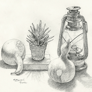 Light and shadow on form study with lantern, potted plant, and shaded gourds by Benjamin Hummel