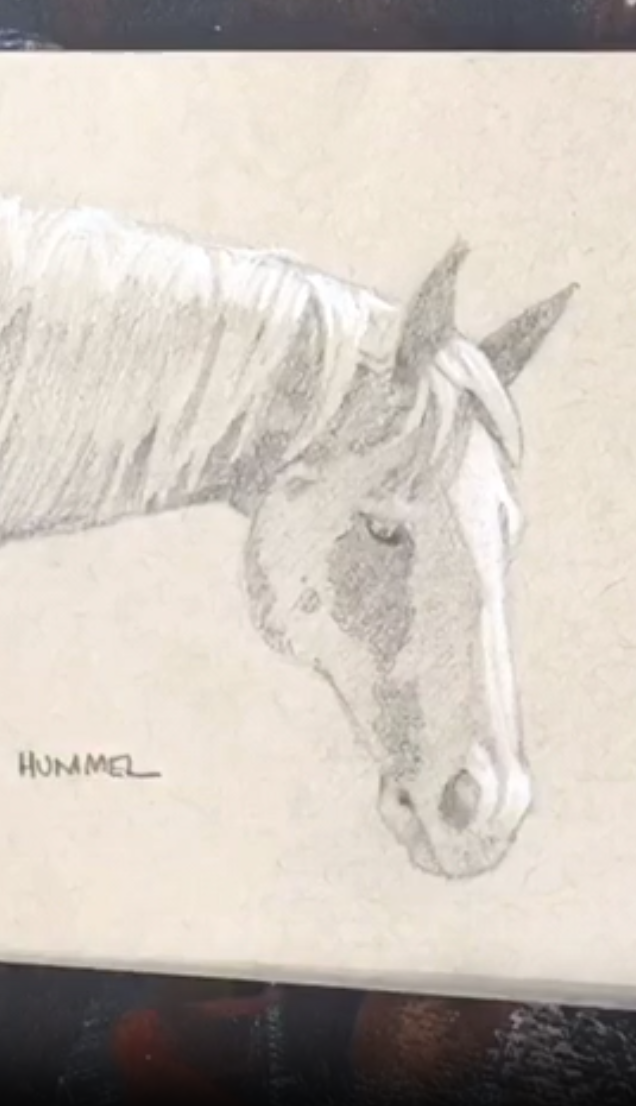 Sketching a Horse
