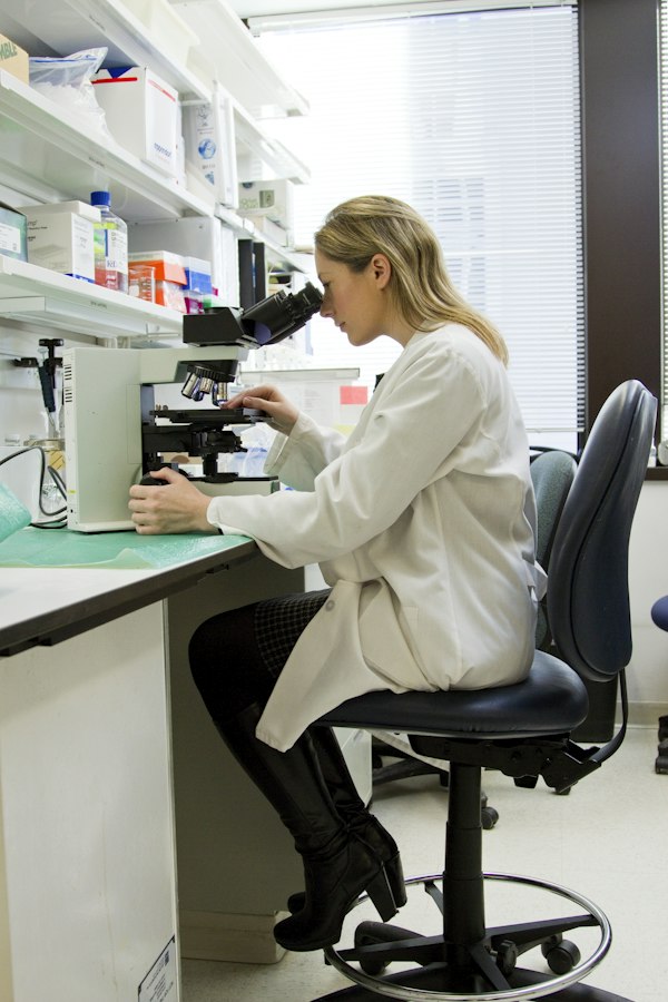 Analytical laboratory with HPLC instrumentation