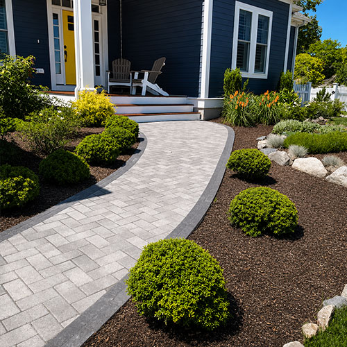 Landscaped front walkway with a paver path and shrubs