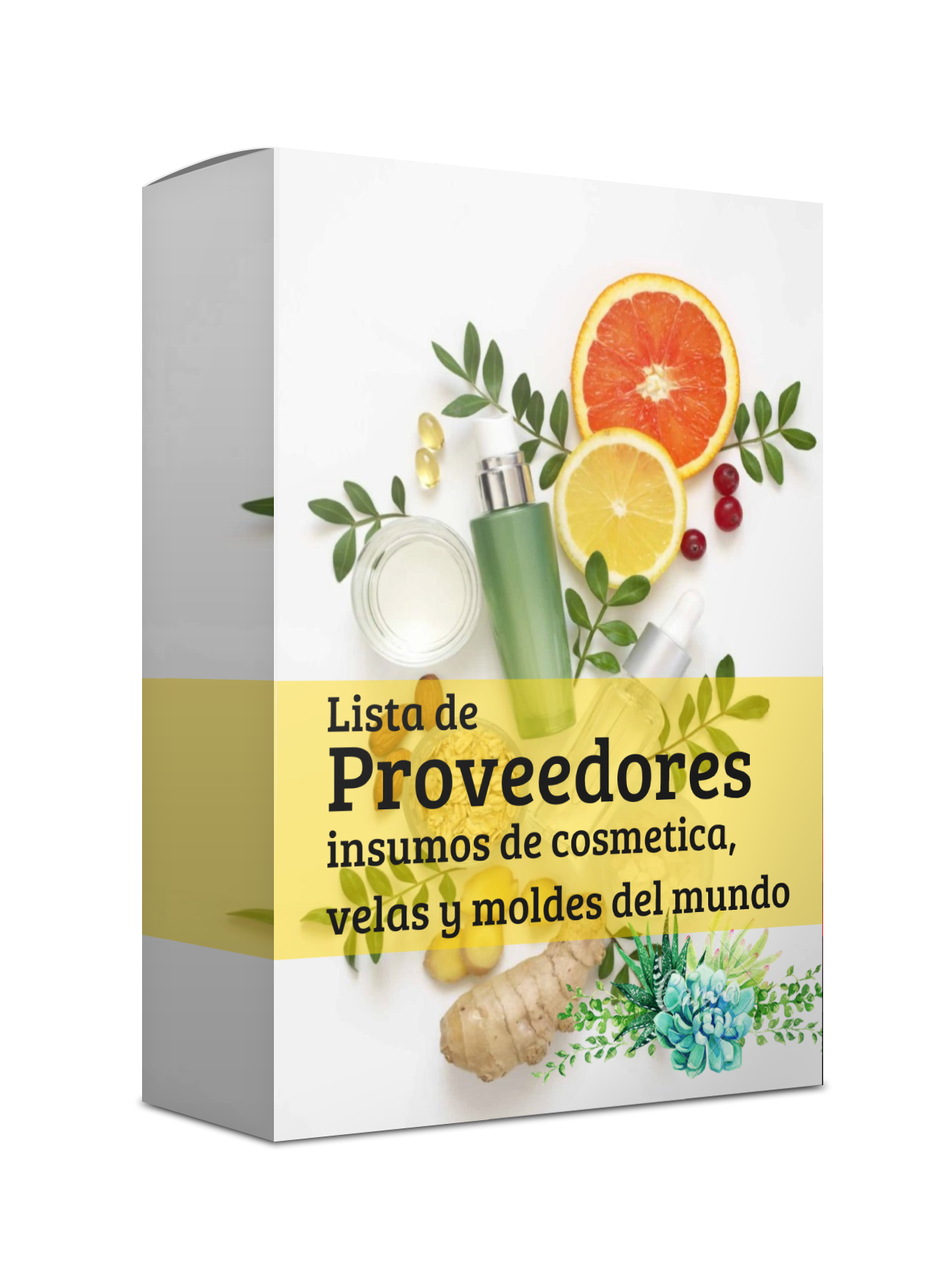 Lista de Proveedores
