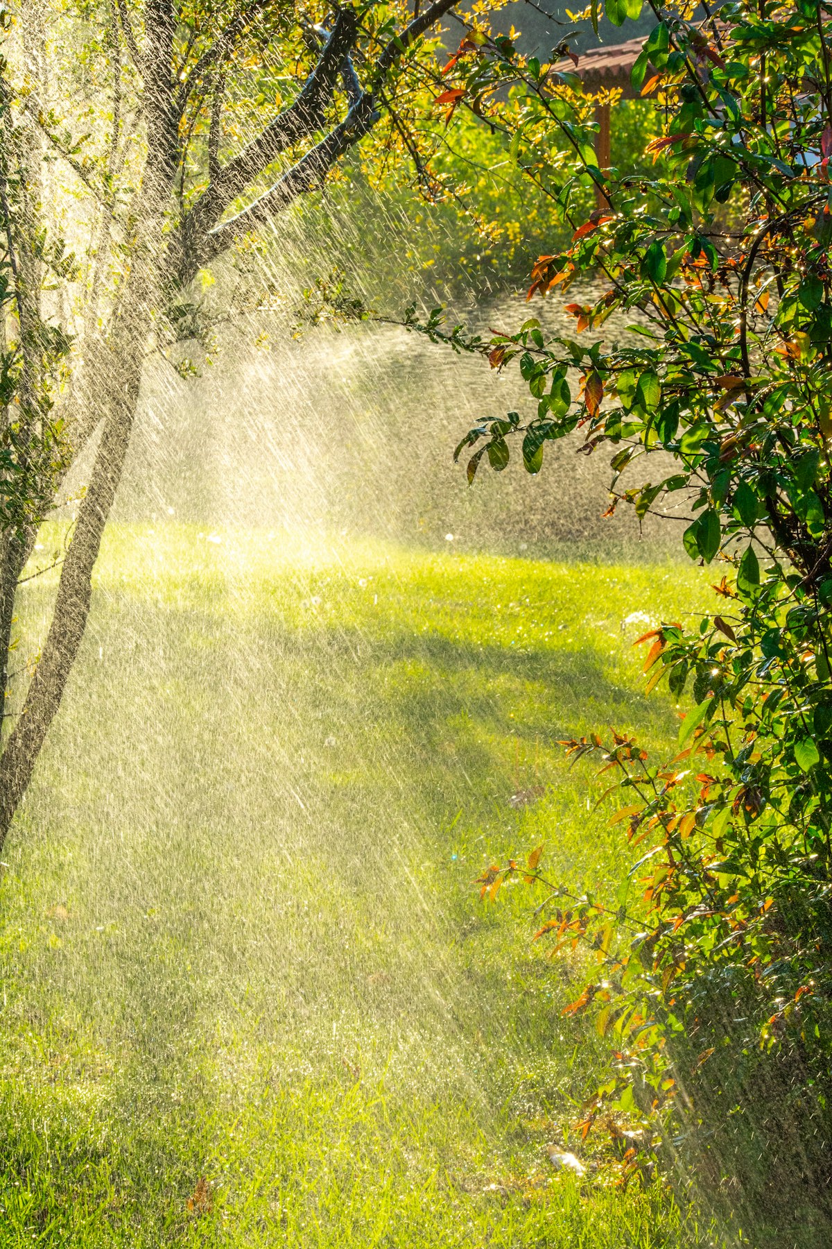 Full Lawn Service in Fort Pierce, FL