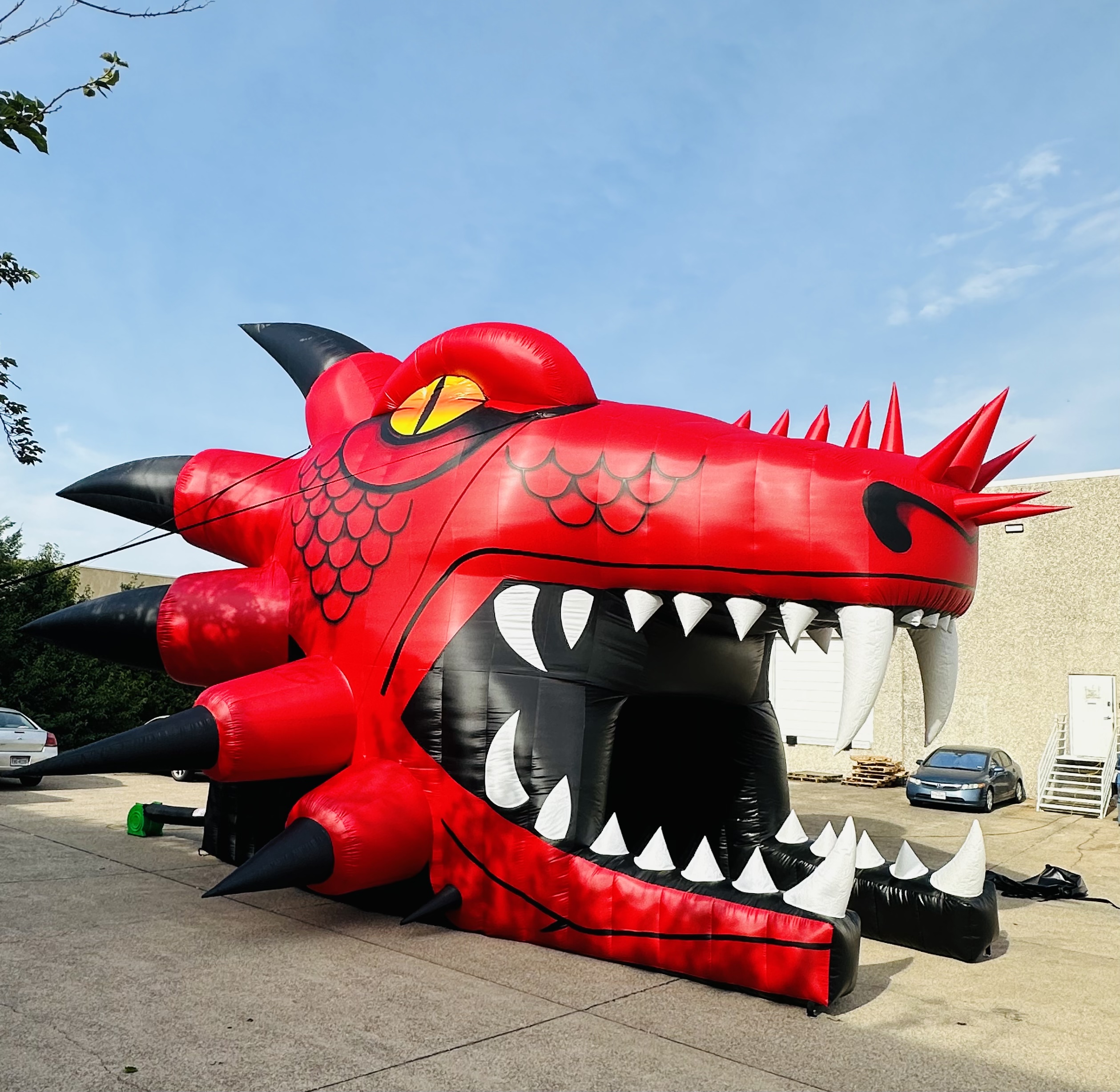 Shelbyville Dragons