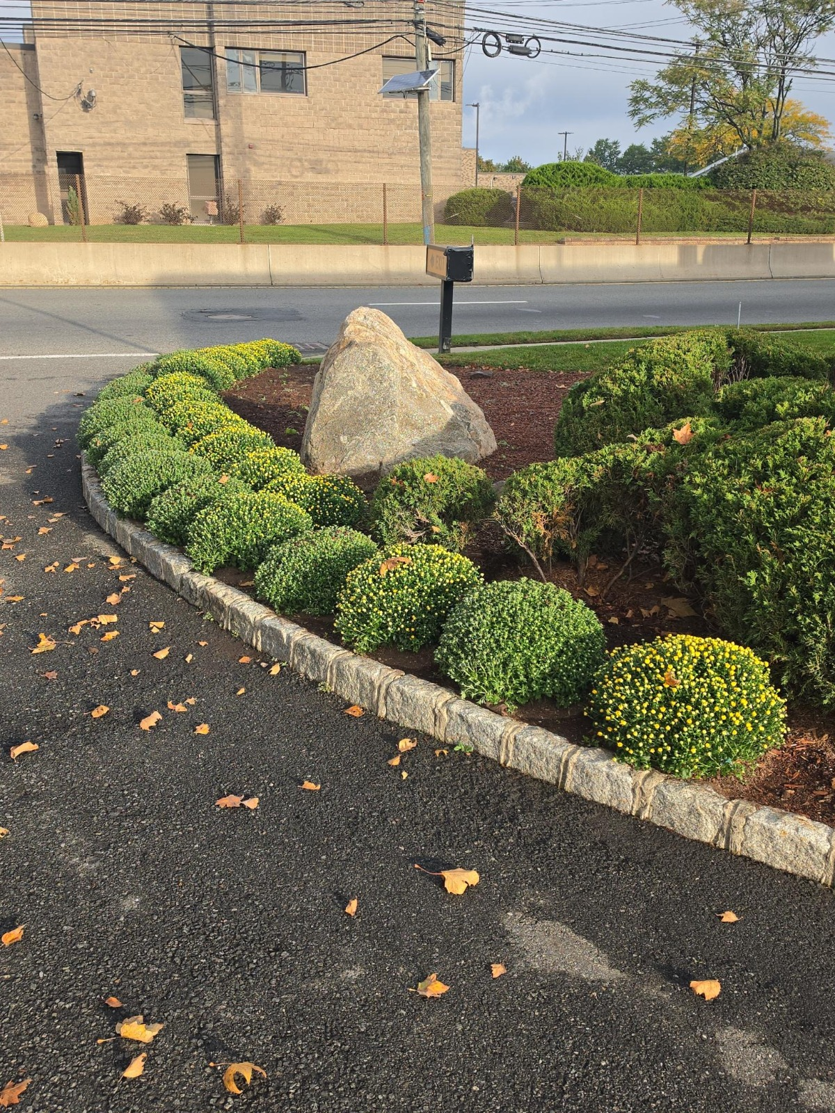 Fall Cleanup & Leaf Removal