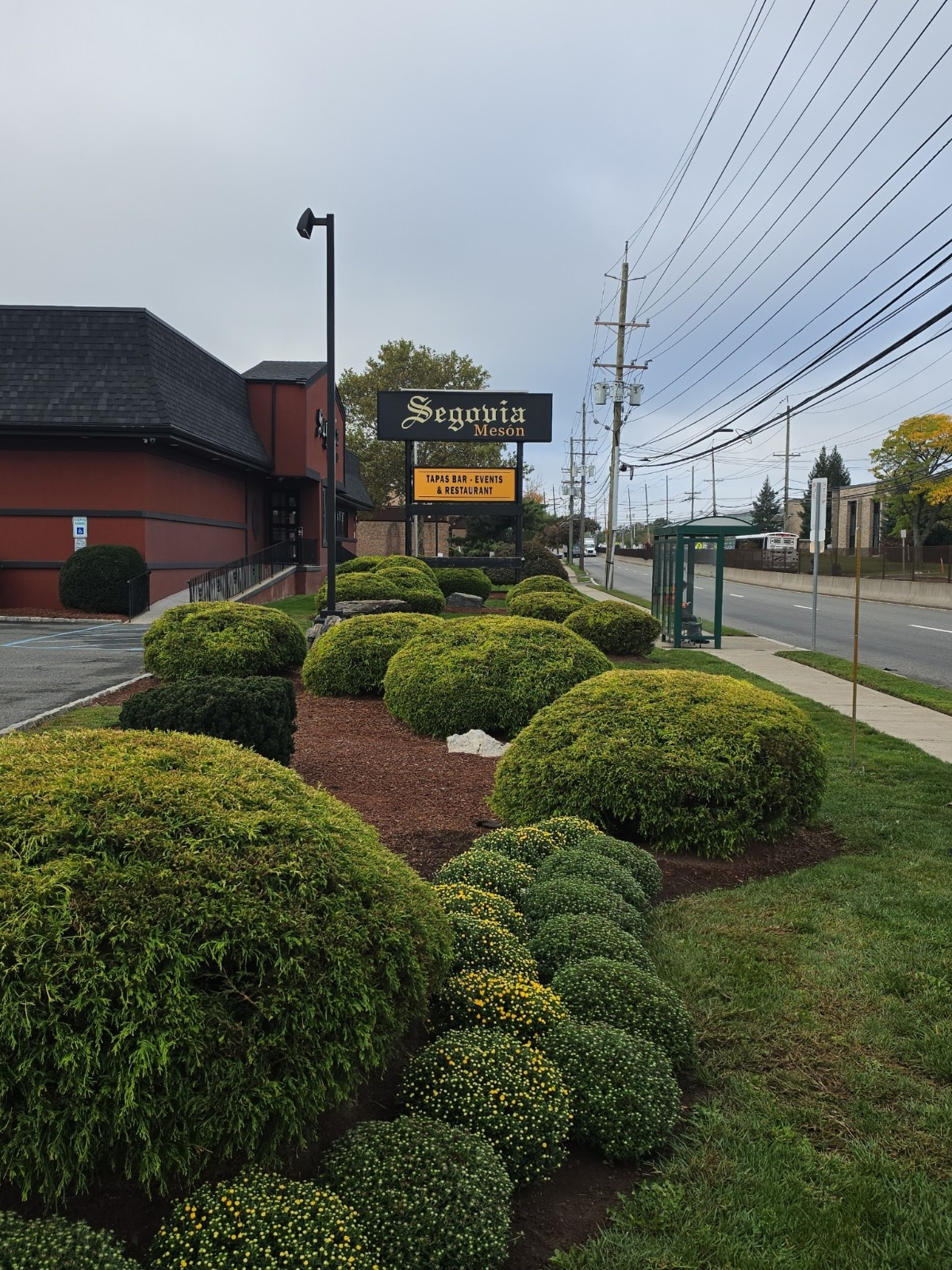 Lawn Aeration