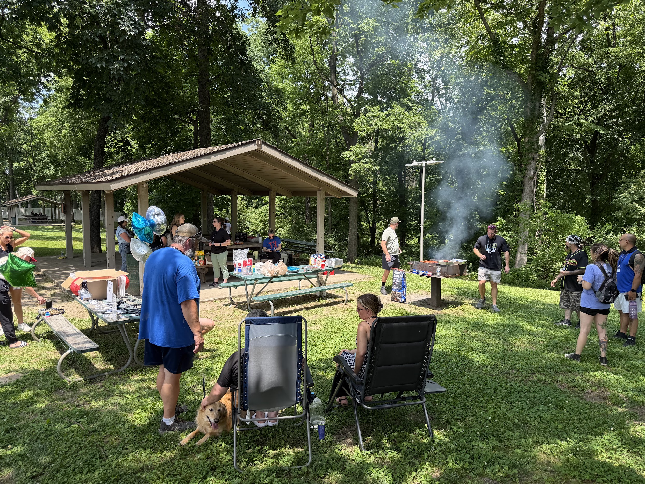 Picnic networking