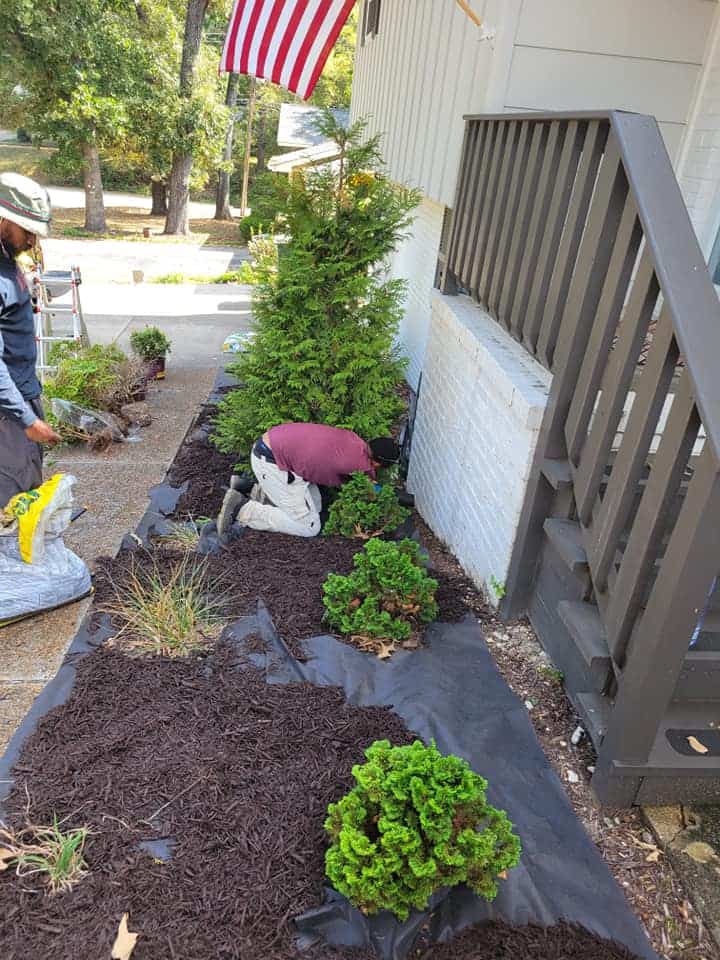 Neatly trimmed foundation shrubs and hedges at a Chattanooga, TN home
