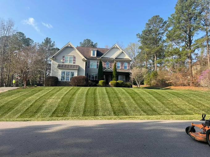Core aeration and overseeding for a thick Chattanooga lawn
