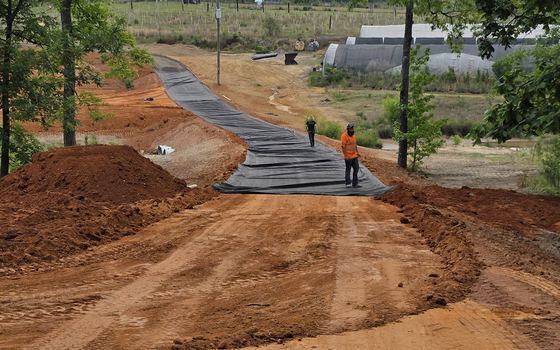 A cleared corridor cut through pine woodland in South Carolina