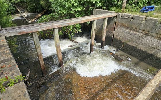 Water discharging through a concrete structure on a South Carolina property