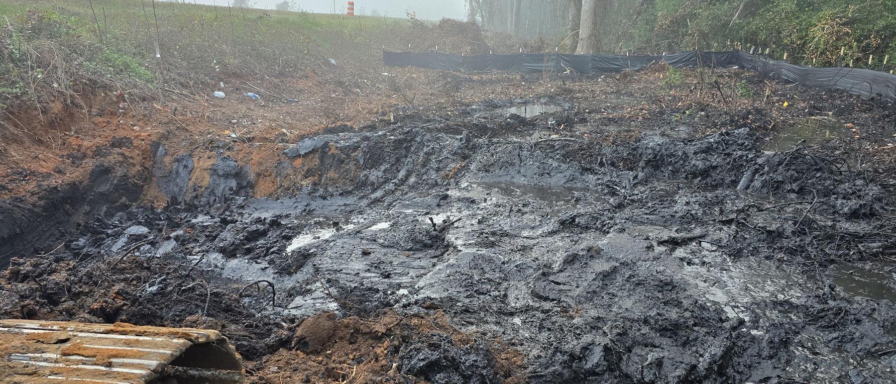 Cleared and burned-off ground on a South Carolina site