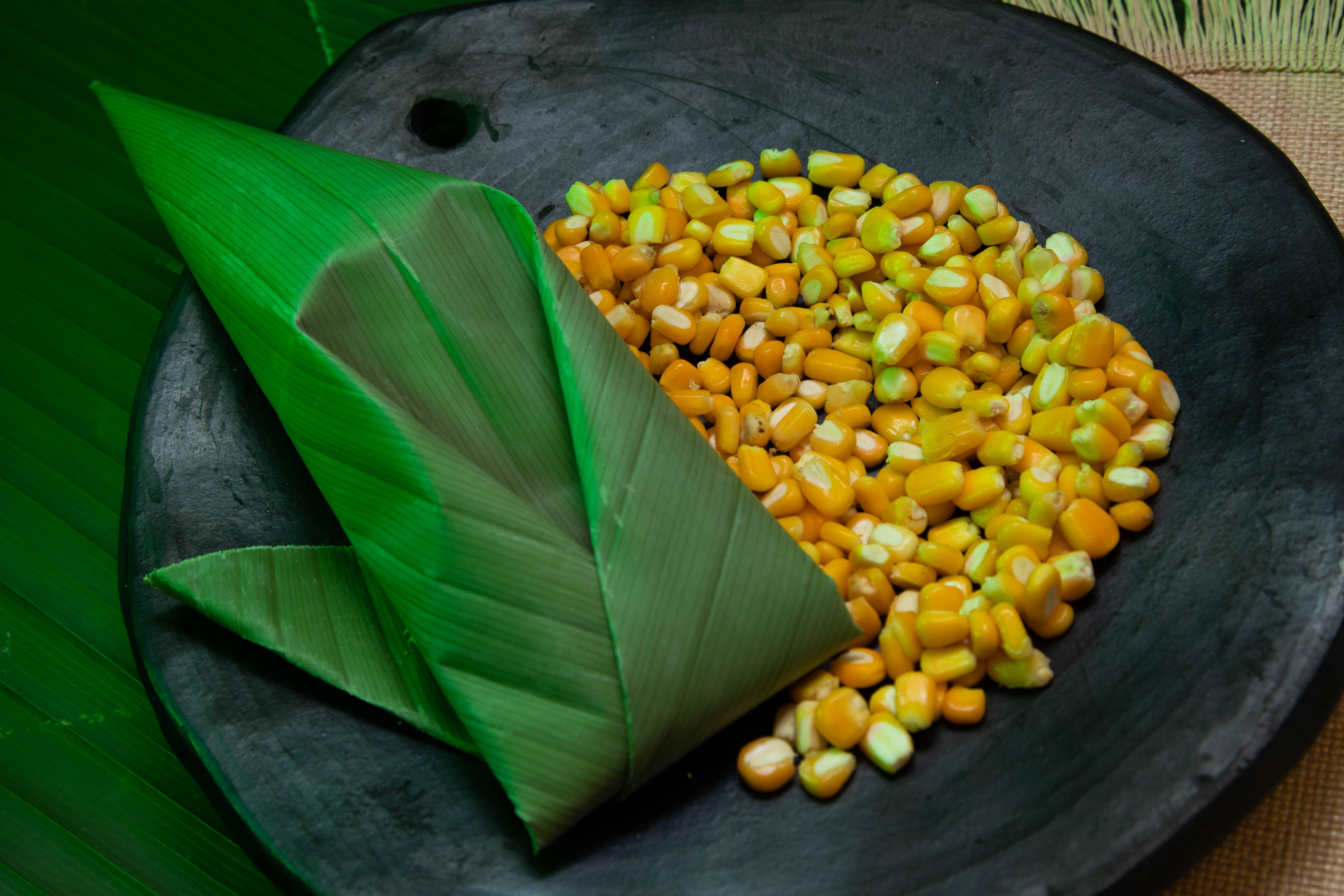 Envuelto tradicional en hoja de maíz con granos dorados