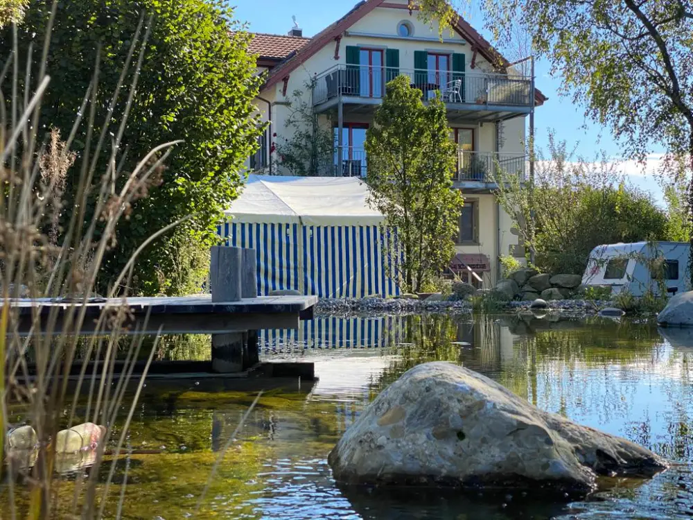 Naturnaher Schwimmteich & Holzsteg am Haus