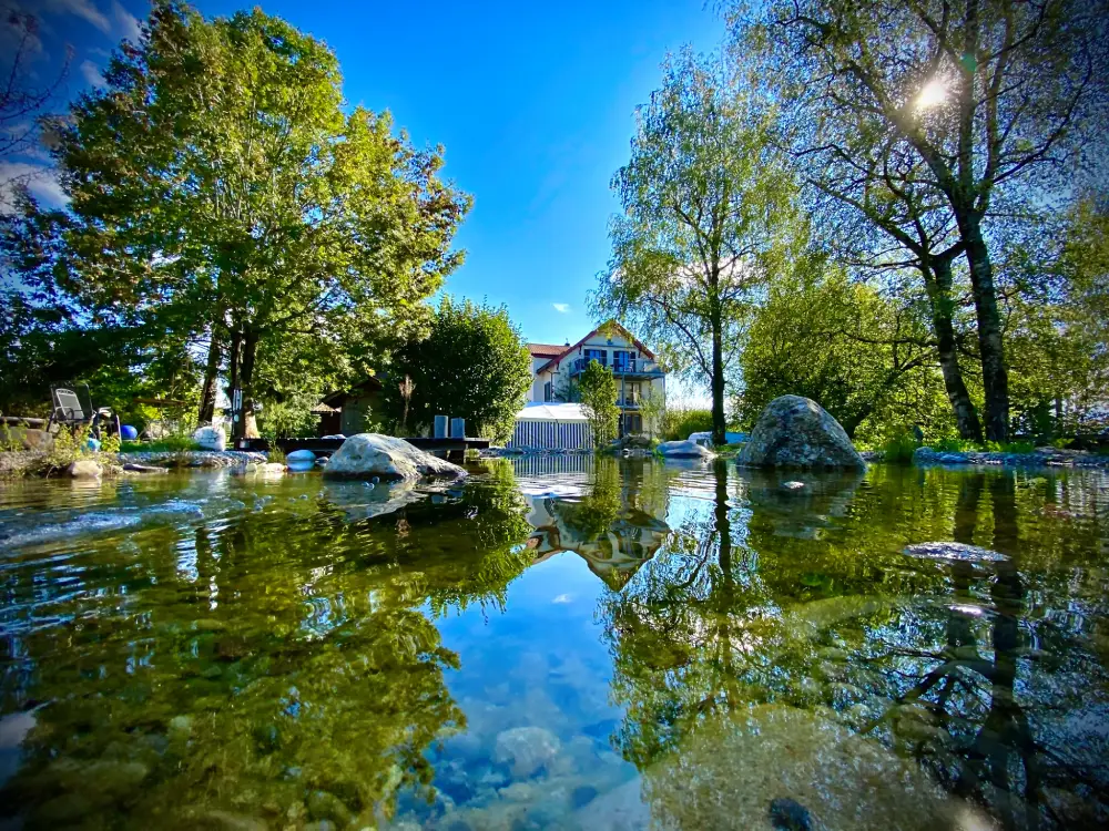 Schwimmteiche & Biotope