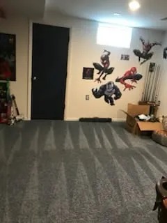 Freshly Vacuumed Carpet with Crisp Lines