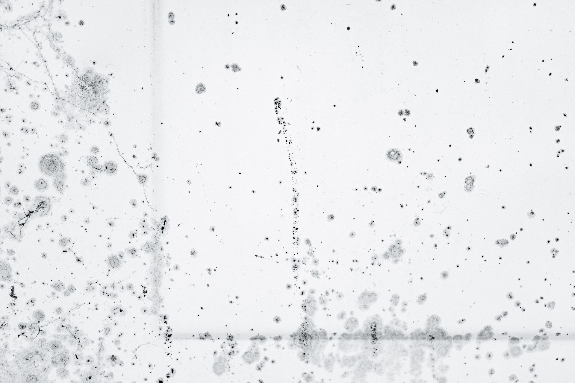 Interior water damage on a ceiling