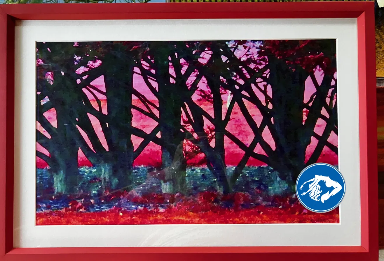 Mysterious Woods