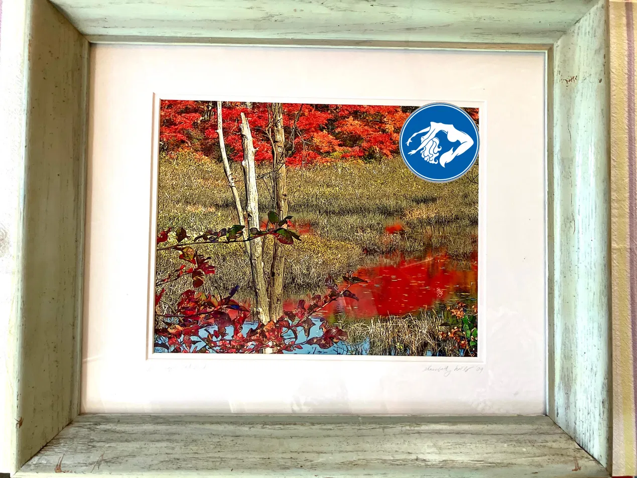 Cape Cod Red