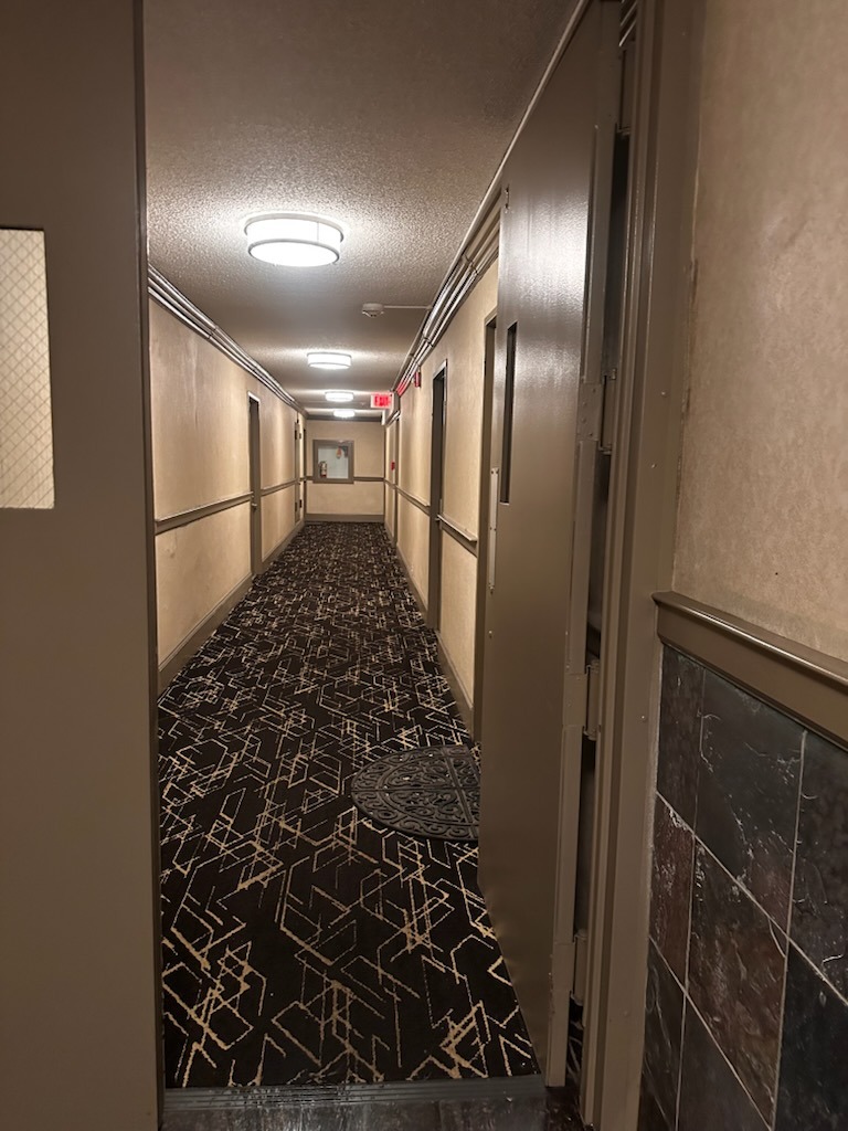 Multi-Story Building Carpeted Hallway & Door Detailing