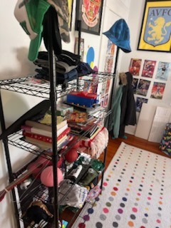Vertical Rack & Toy Shelf Categorization & Closet Staging