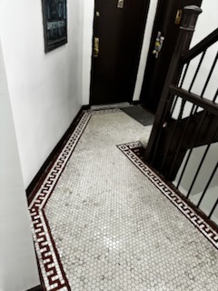 Organic Healthy Cleaning historic mosaic hallway deep clean and polish