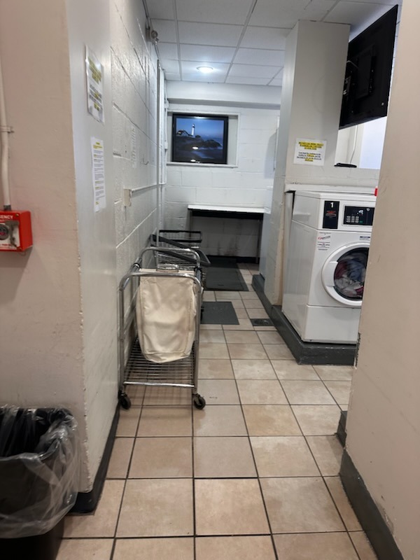 Laundry Folding Table & Utility Cart Area Detailing