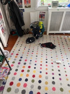 Polka-Dot Area Rug & Hardwood Floor Organic Vacuuming & Detailing