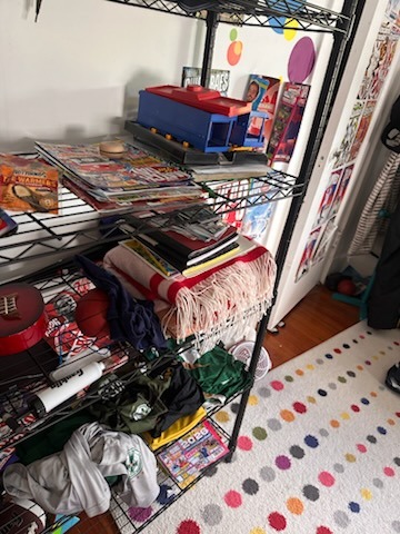 Organization & Move-In/Out