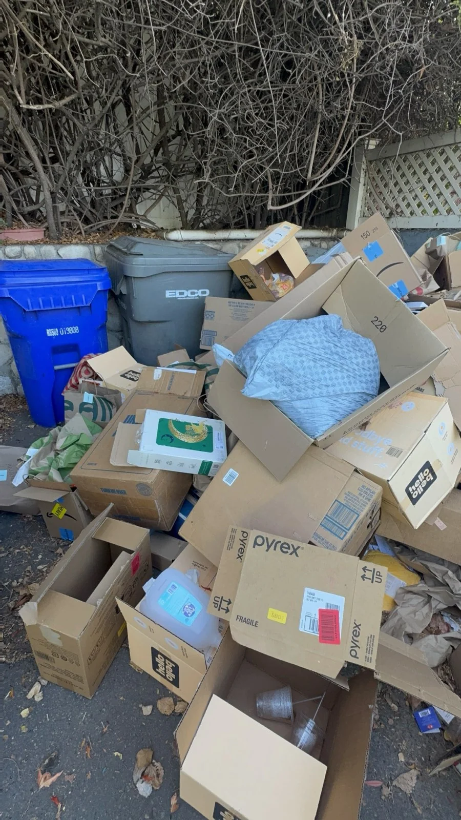 Cardboard boxes and mixed trash piled beside outdoor bins at a La Mesa property.