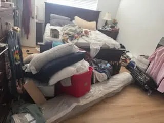 Intensive Bedroom Organization & Deep Clean