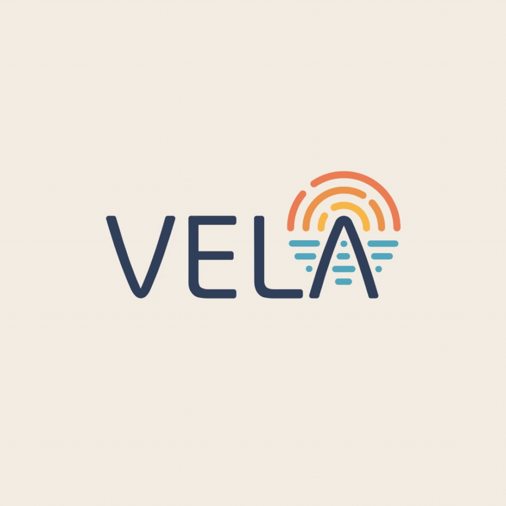 VELA Founders Network logo