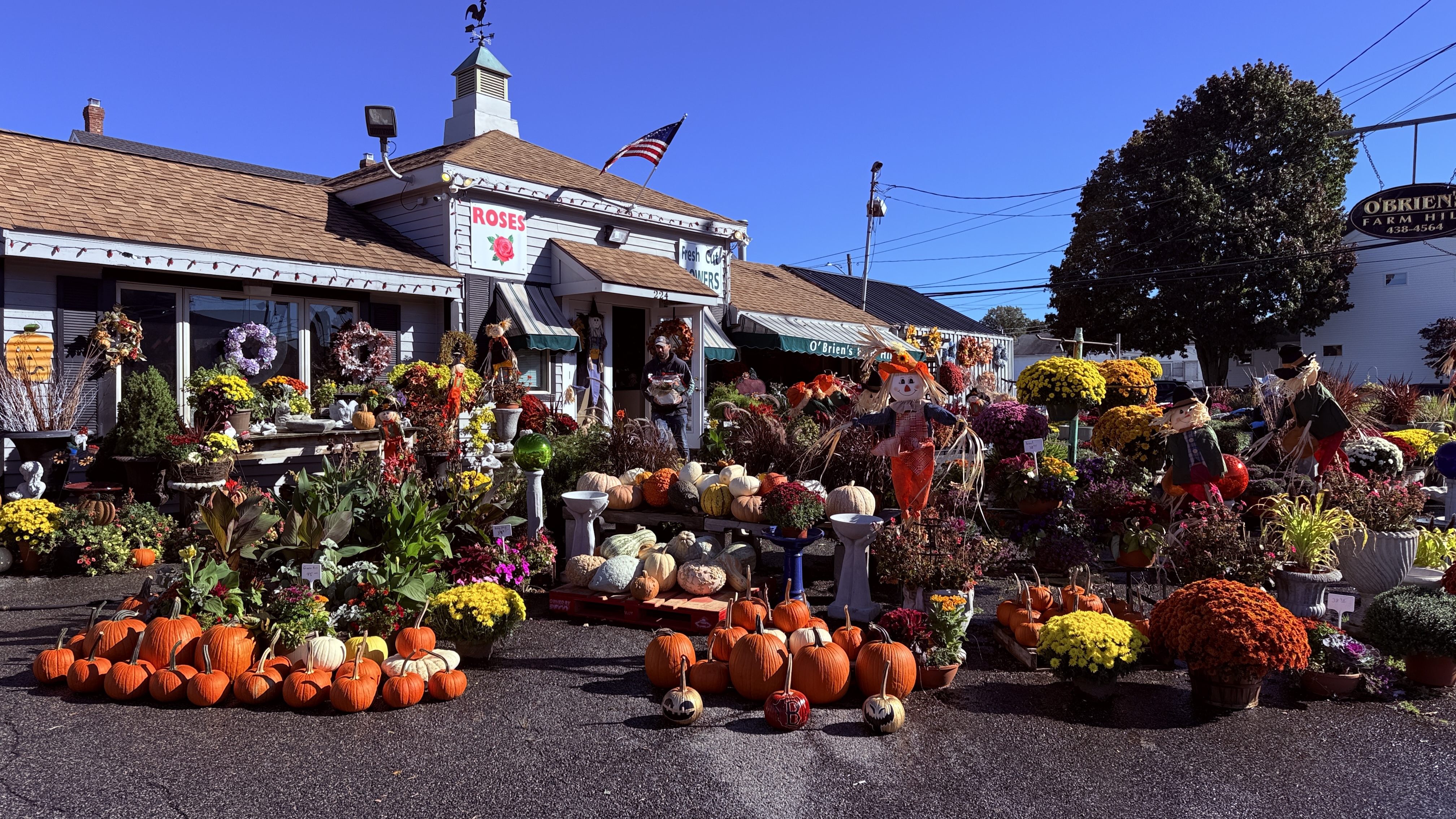 O'Brien's Farm Hill Florist & Garden Center storefront with vibrant autumn mums, pumpkins, and harvest displays in Stoneham, MA