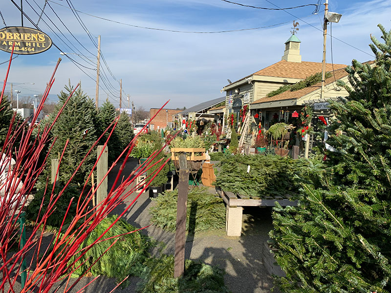 Christmas