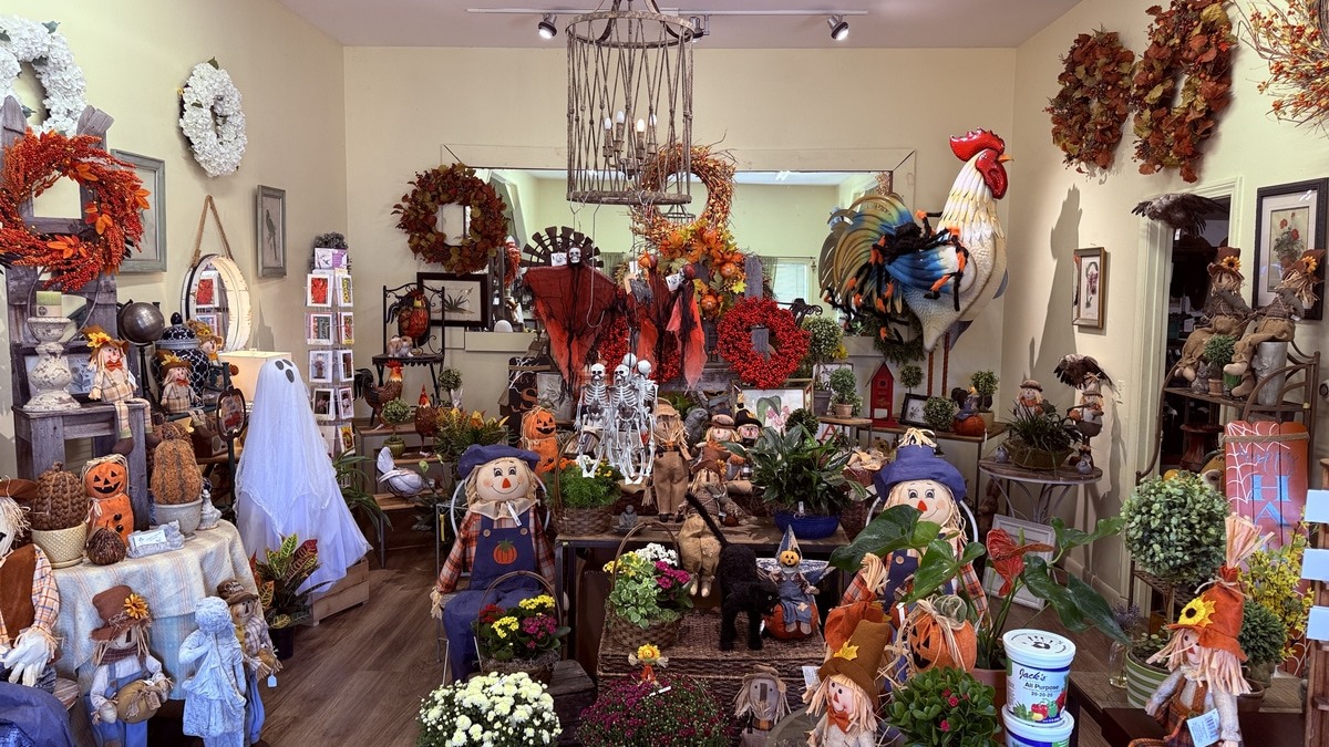 Halloween at O'Brien's display