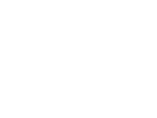 Toyota logo