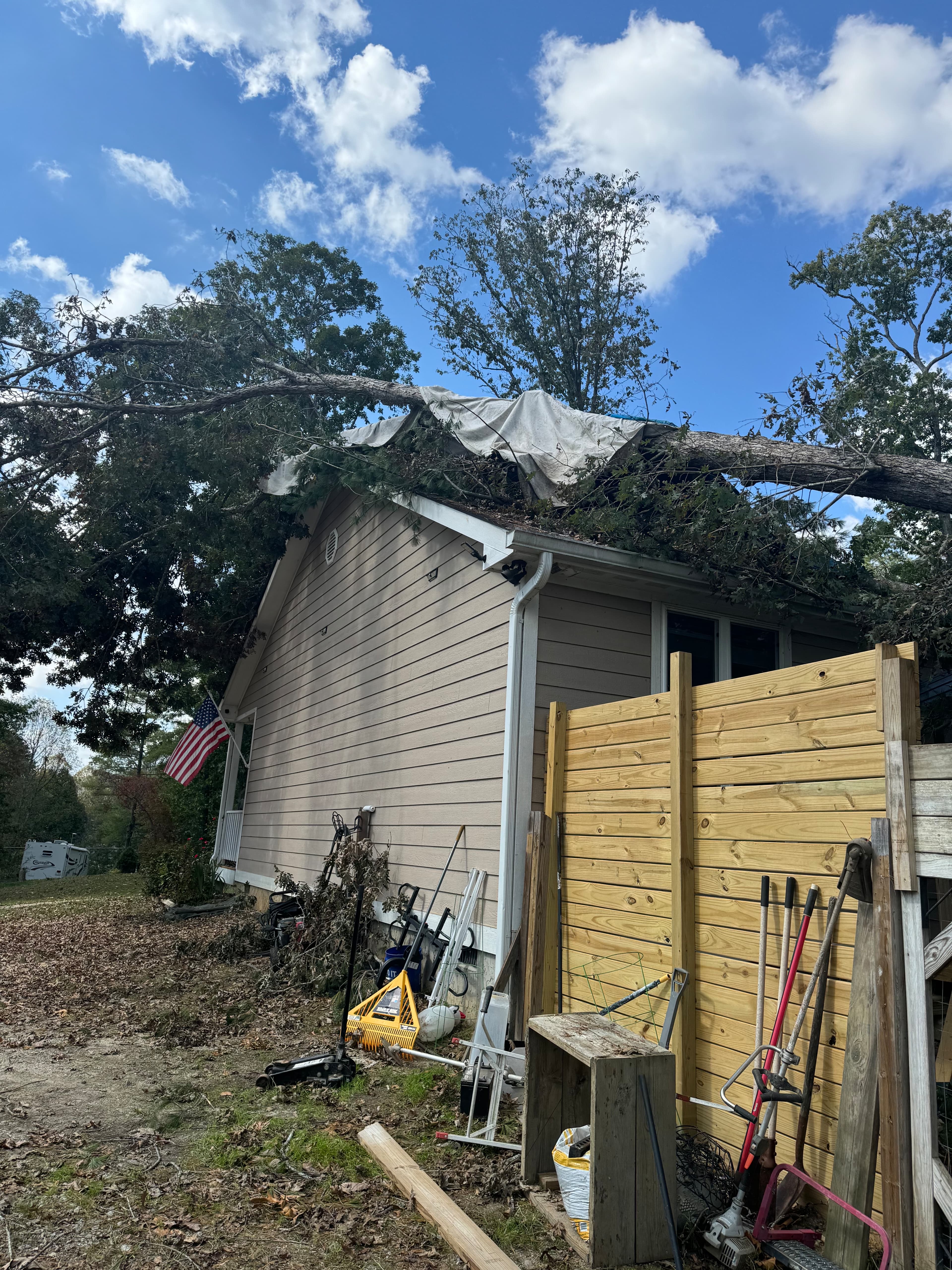 Before: Heavy Tree Damage